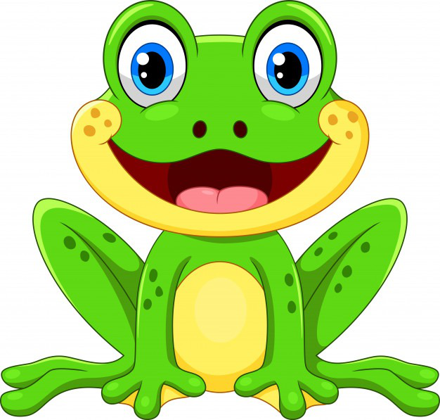 zabki