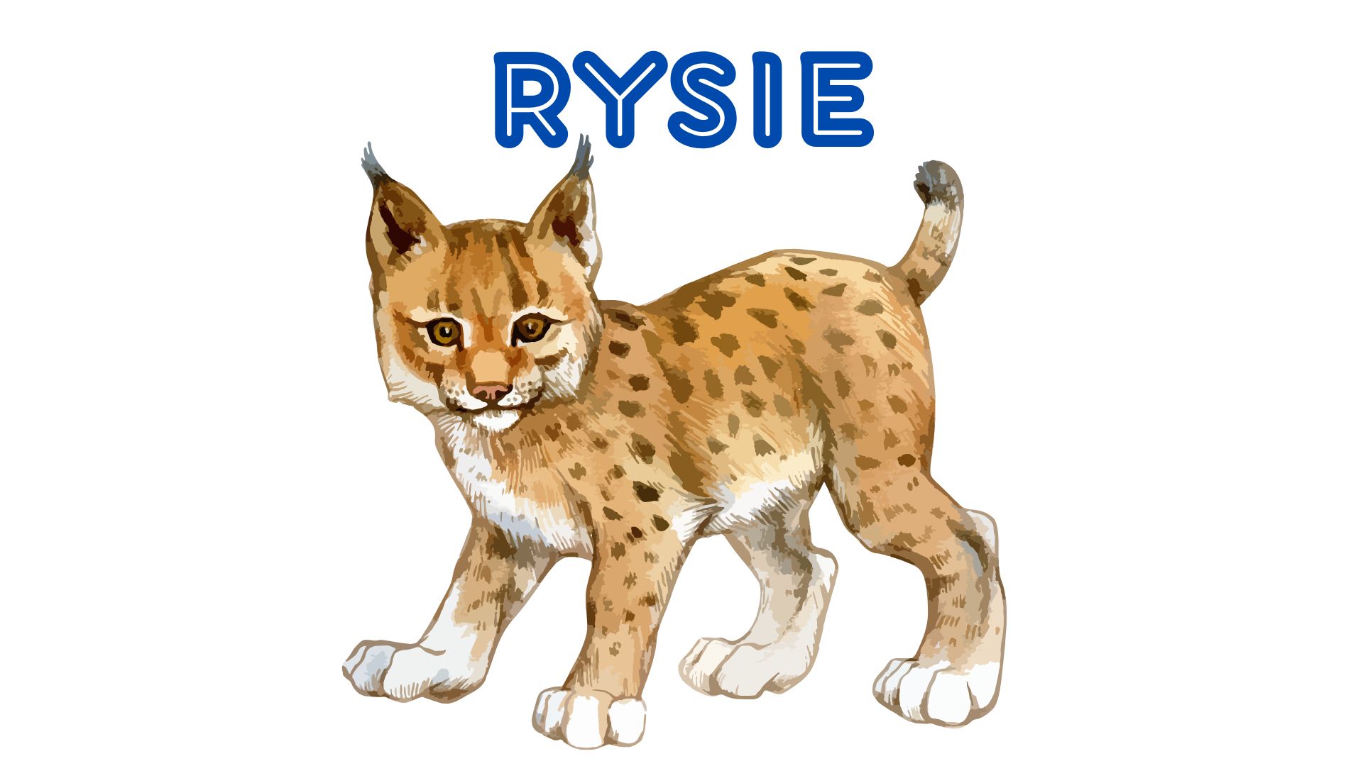 RYSIE RYSIE