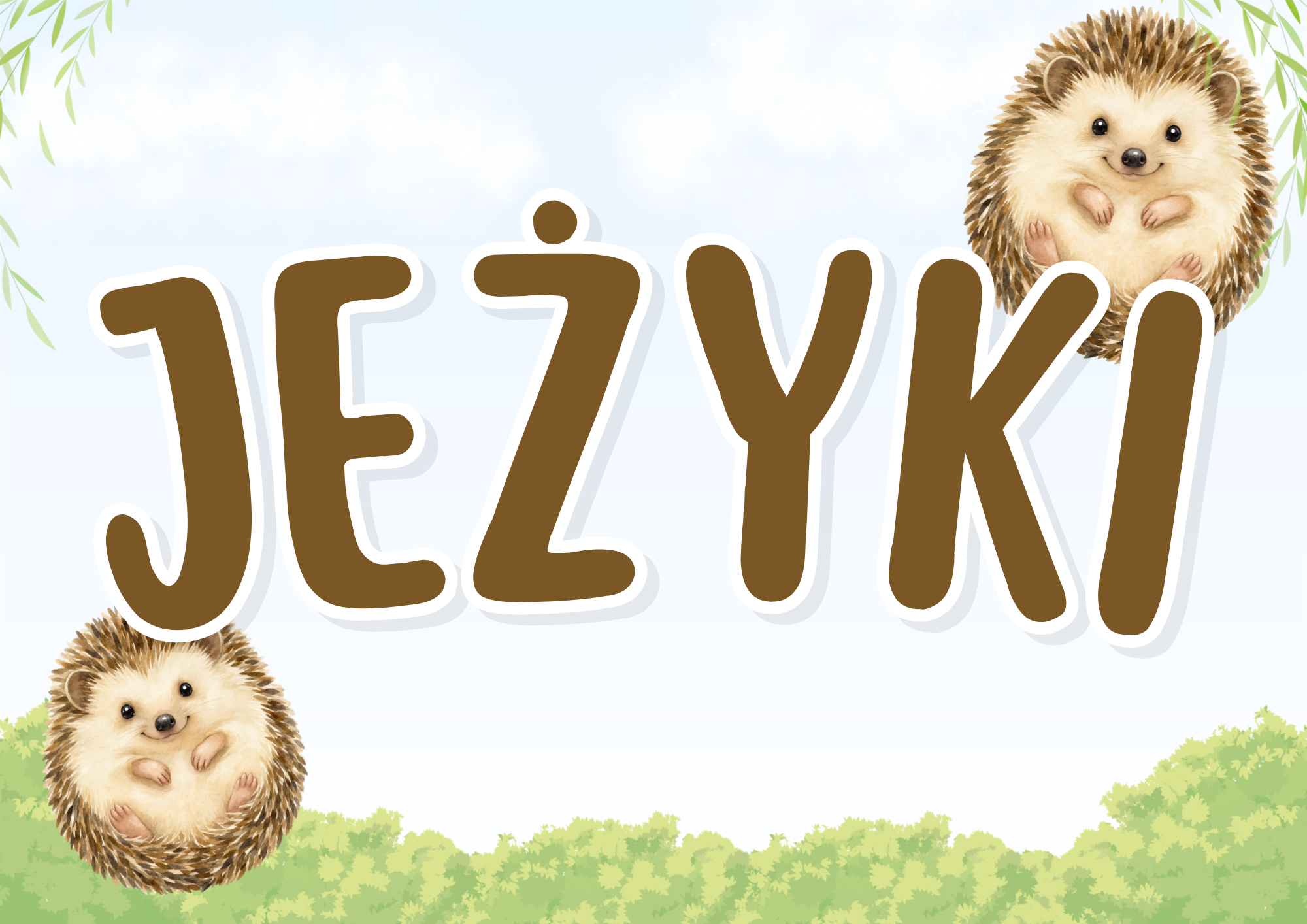 jezyki